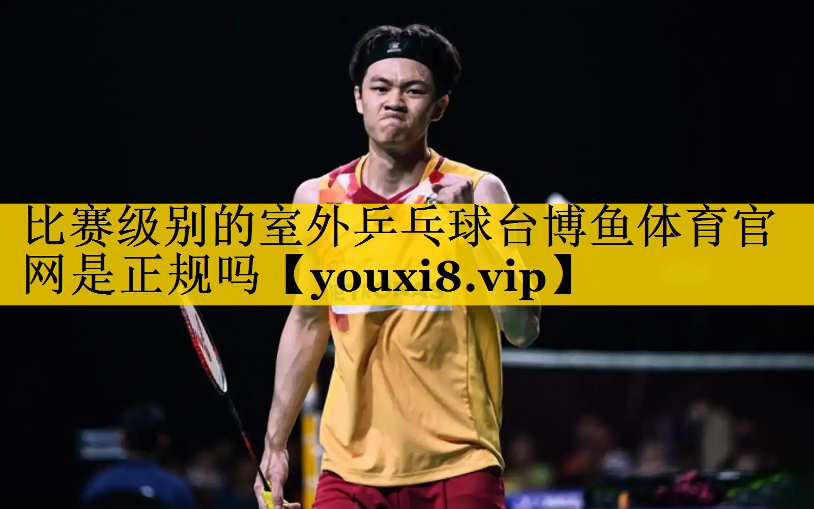 比赛级别的室外乒乓球台博鱼体育官网是正规吗