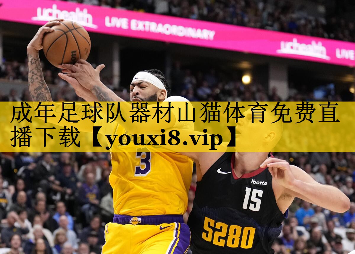 成年足球队器材山猫体育免费直播下载