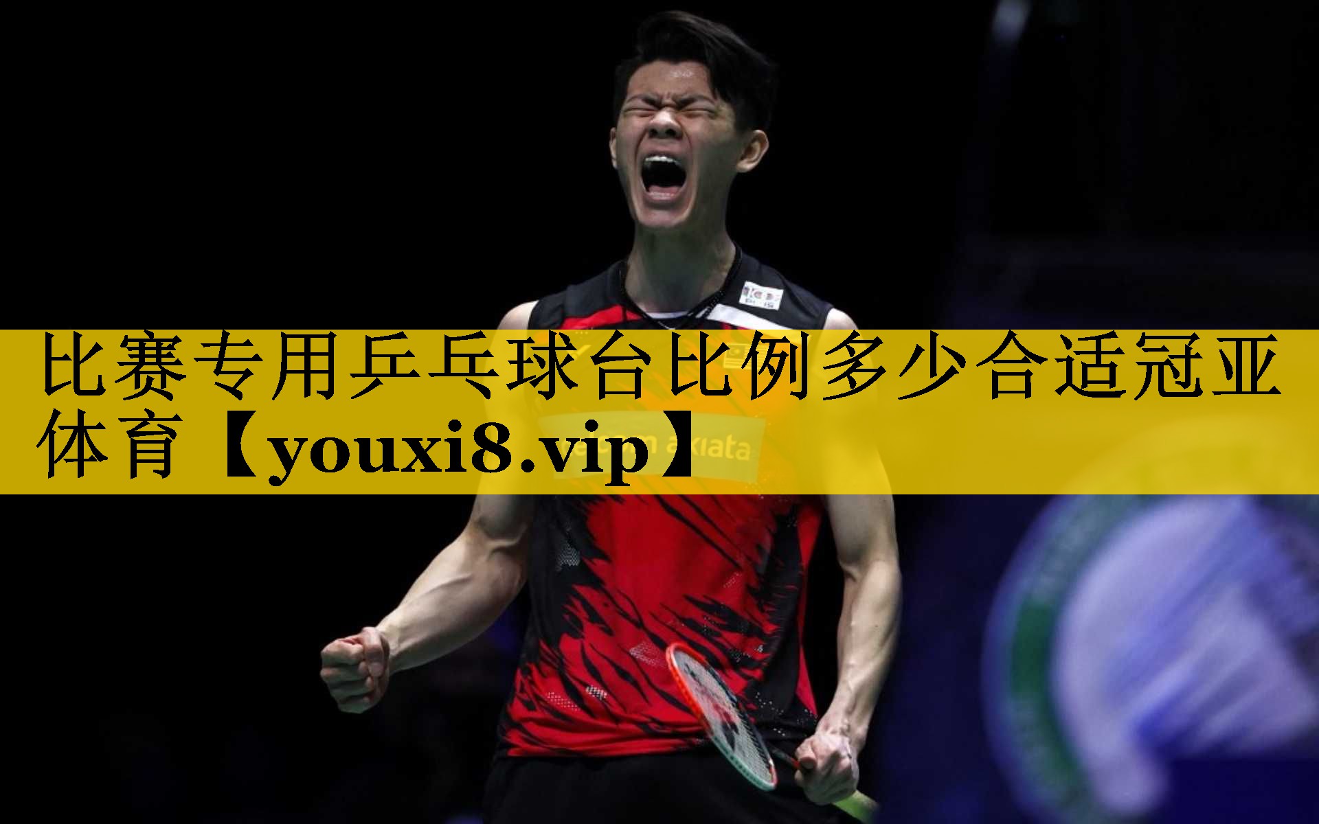 比赛专用乒乓球台比例多少合适冠亚体育