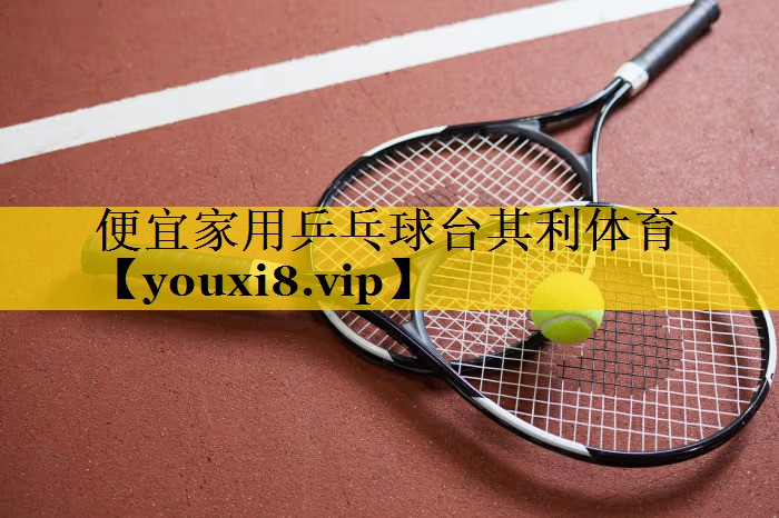 便宜家用乒乓球台其利体育