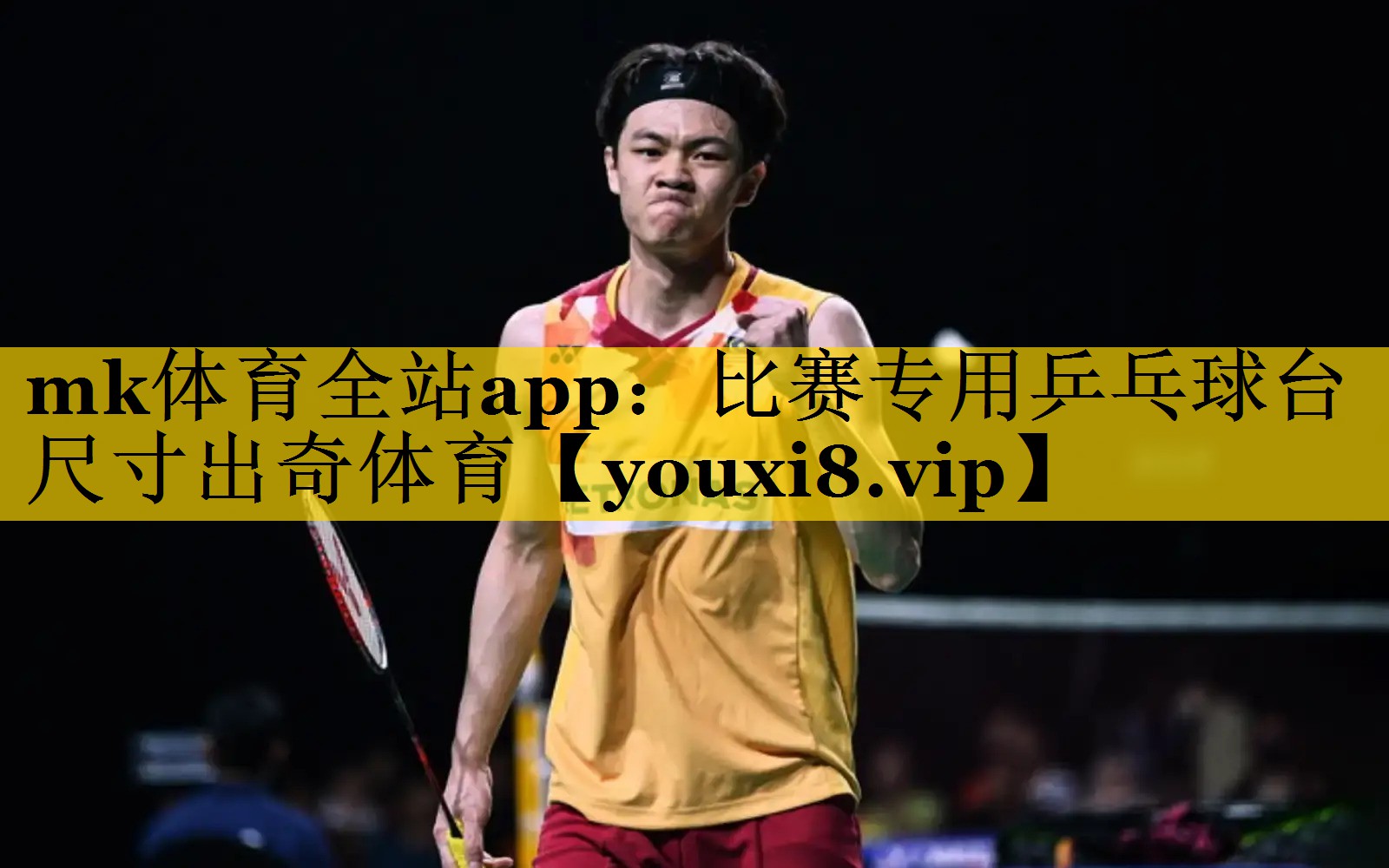 mk体育全站app：比赛专用乒乓球台尺寸出奇体育