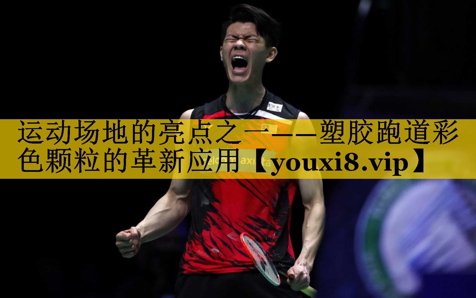 运动场地的亮点之一——塑胶跑道彩色颗粒的革新应用